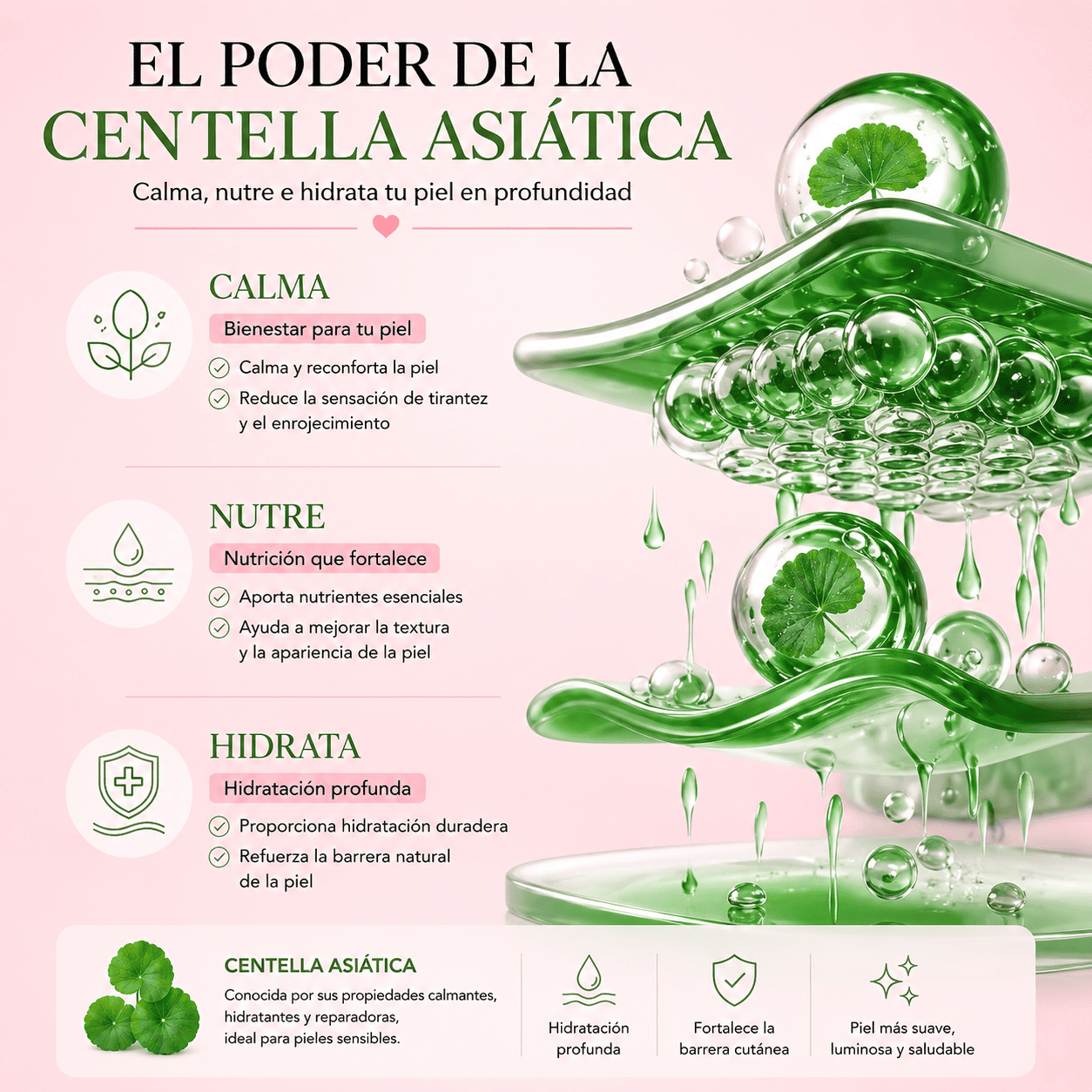 Kit BIOAQUA Centella Asiatica